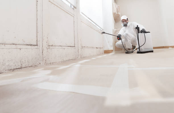 24/7 Emergency Black Mold Remediation experts in Watchung, NJ