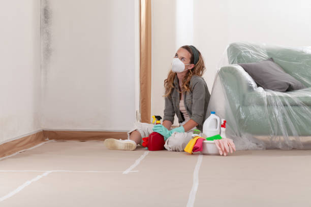 Reliable Black Mold Remediation contractor in Watchung, NJ by Mold Remediation HQ